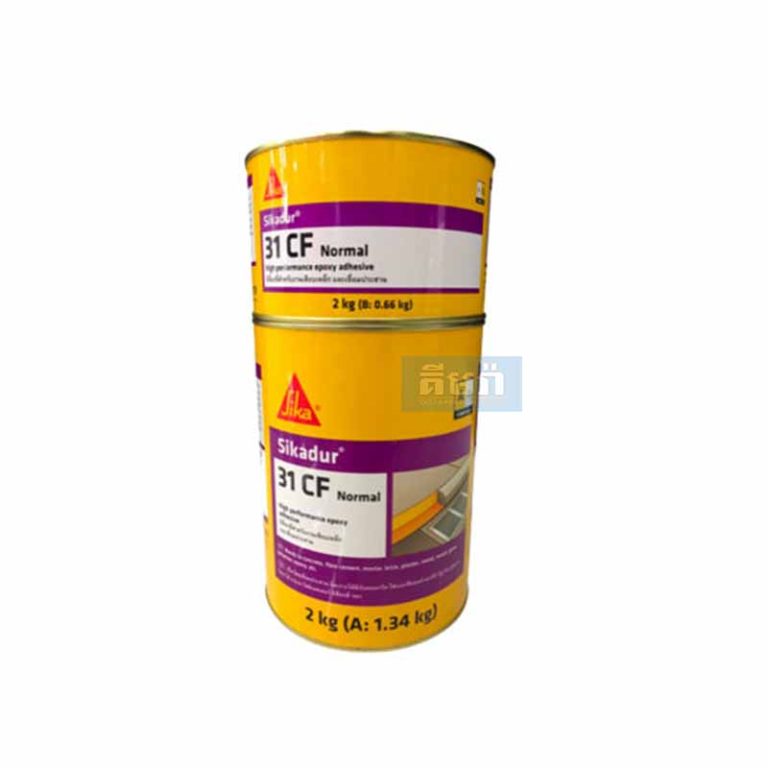 Yalangoch ayolning egilgan surati